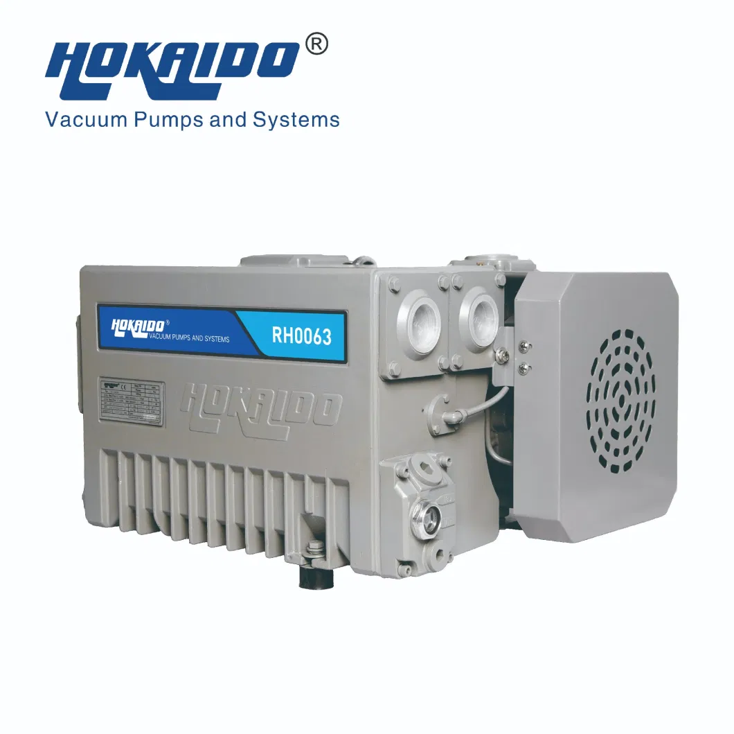 Rh0020/63/100/160/200/250/300 Single Stage Rotary Vane Vacuum Pump for Vacuum Packaging