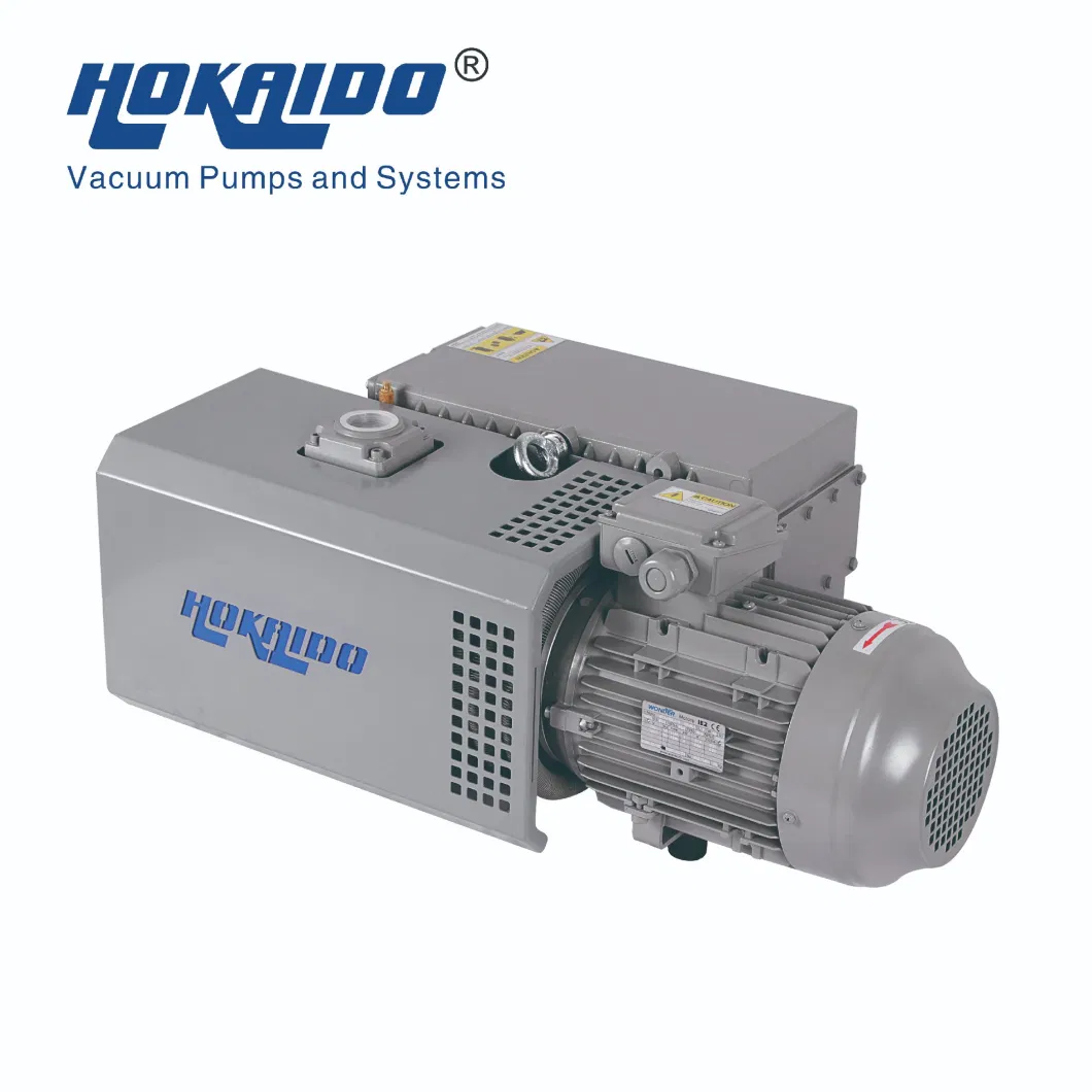 Rh0020/63/100/160/200/250/300 Single Stage Rotary Vane Vacuum Pump for Vacuum Packaging